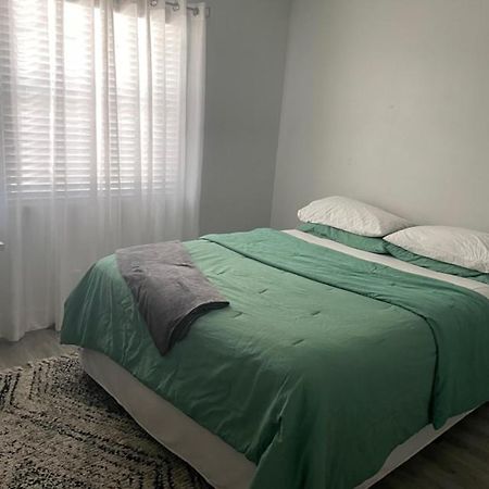 Modern Townhome 탬파 외부 사진